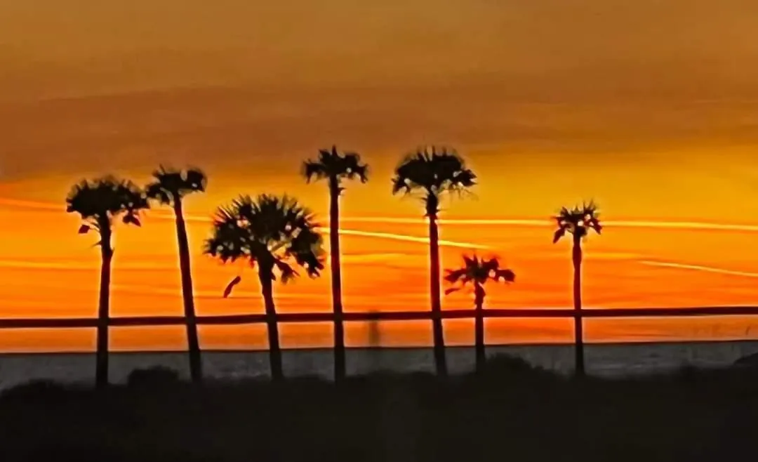 Shores Of Panama 1506, Perfect For A Great Couples Getaway! Free Fun! Reserved Parking Condo Panama City Beach